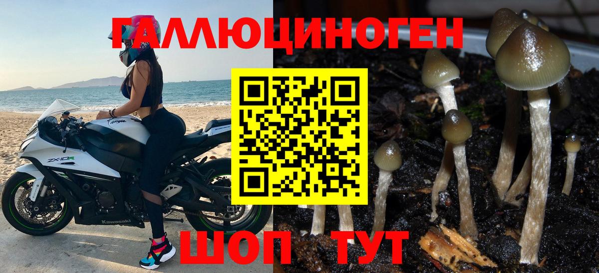 Фрязино  Псилоцибиновые грибы MAGIC MUSHROOMS  купить наркотик  Вход с VPN 