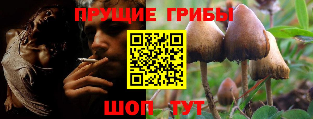 Галлюциногенные грибы прущие грибы Фрязино